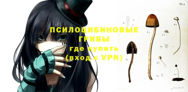 стаф Армянск