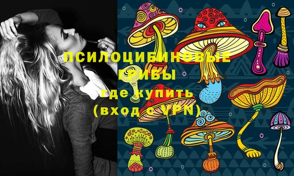 синтетический гашиш Арсеньев